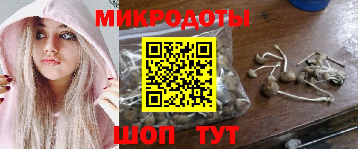 Пугачёв  Псилоцибиновые грибы прущие грибы  купить наркотики цена  Псилоцибиновые грибы ЛСД  Вход с VPN 